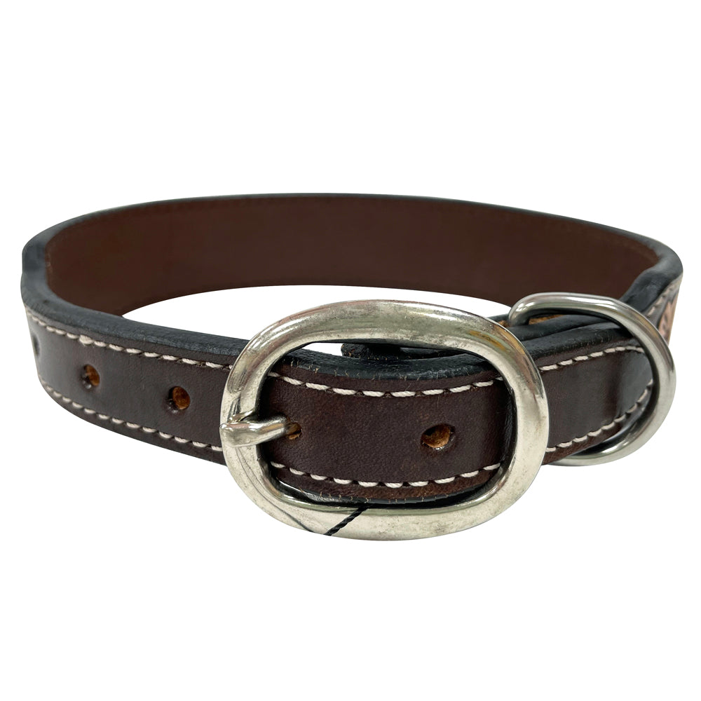 AD DOG COLLAR