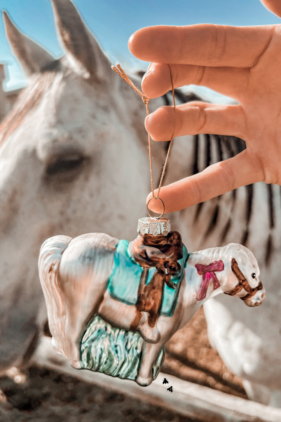 PONY ORNAMENT